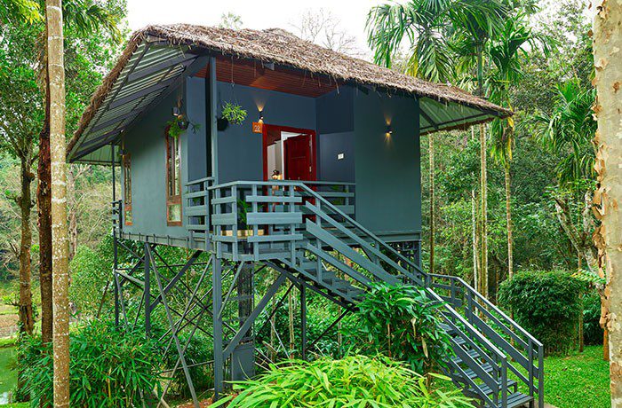 Woods resort Wayanad