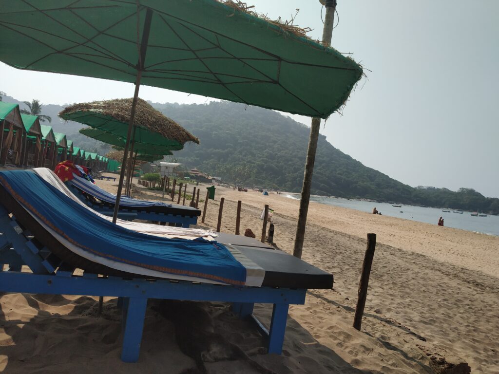 Goa Beach - Sunbathing