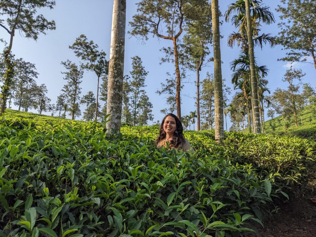 Tea Plantation Kerala - Honeymoon destinations in India