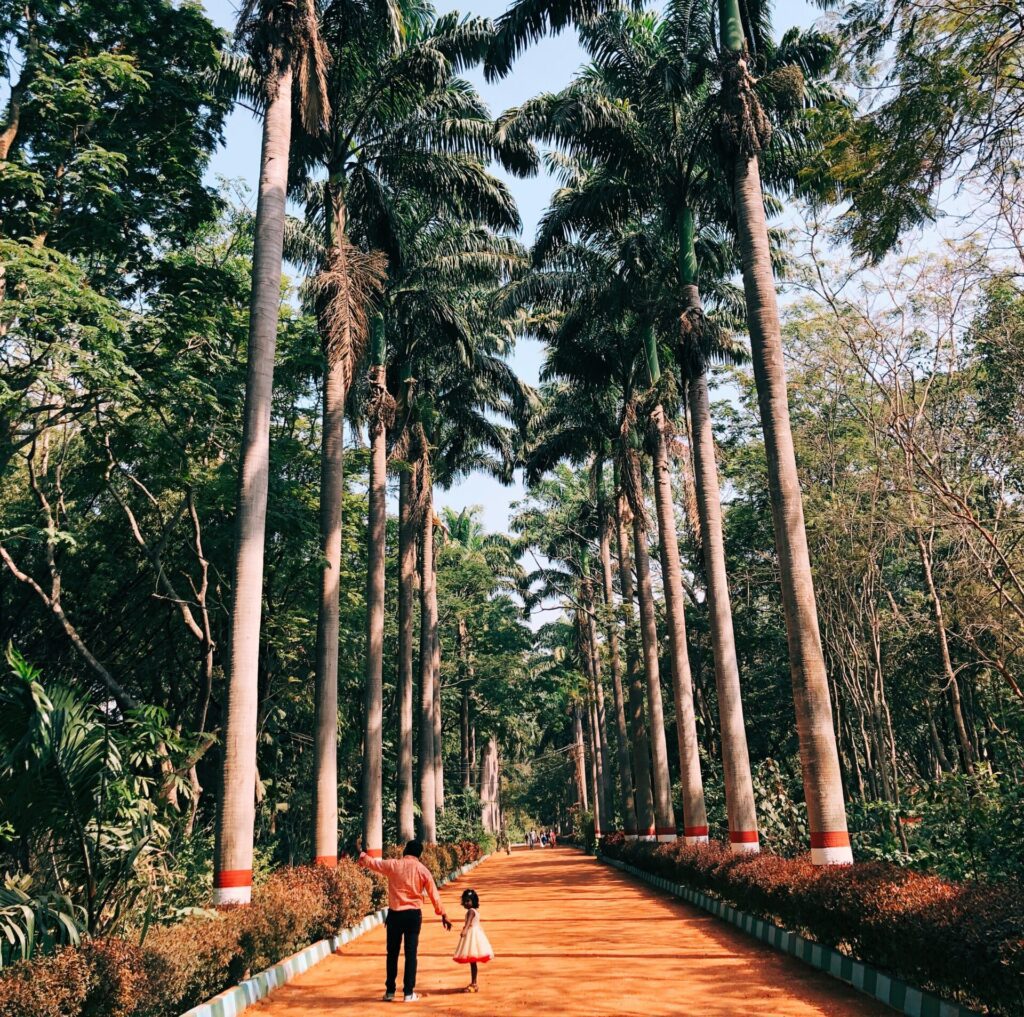 Karanji Lake Mysore - green path