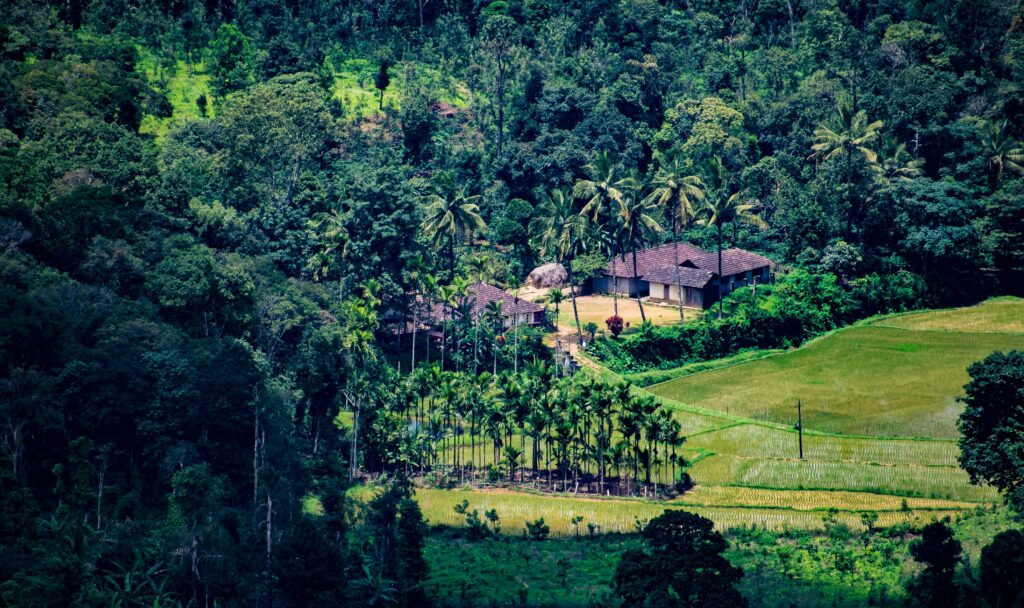 Coorg Karnataka