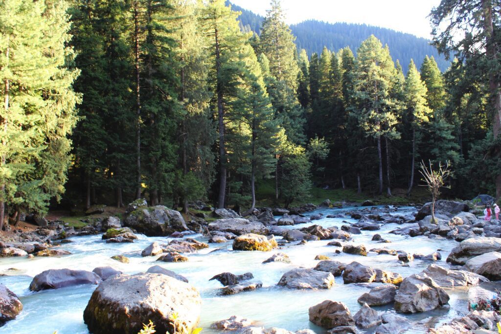 Hill stations in India - Pehalgam