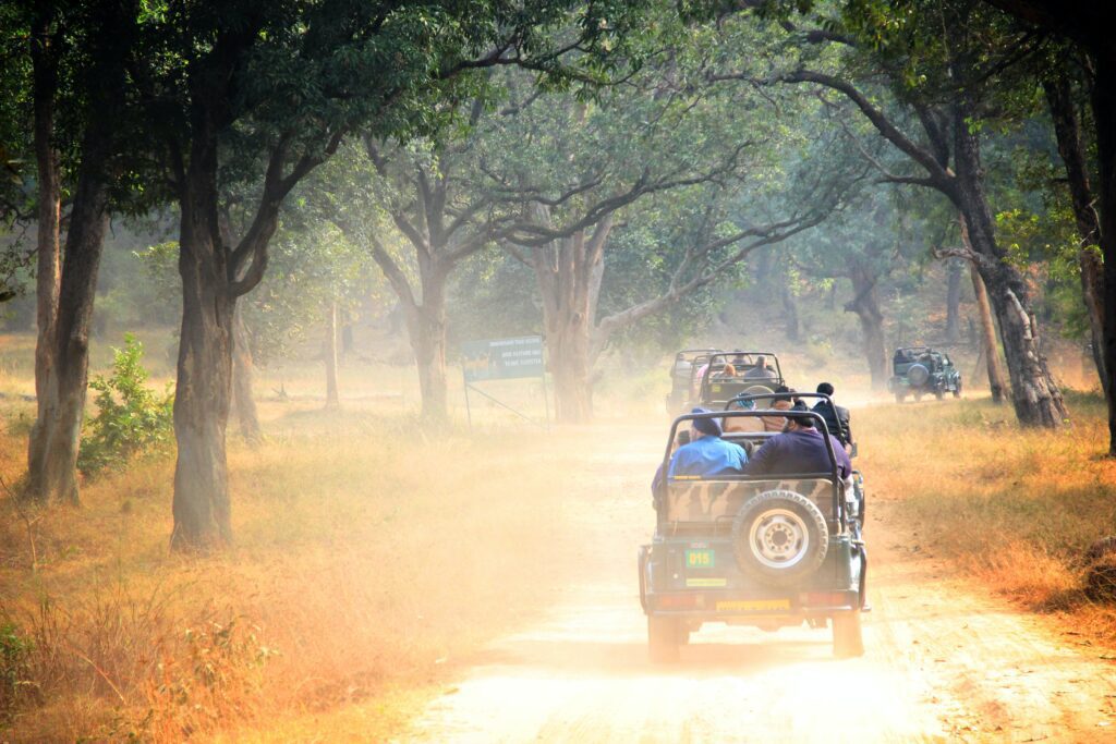 National Parks in India