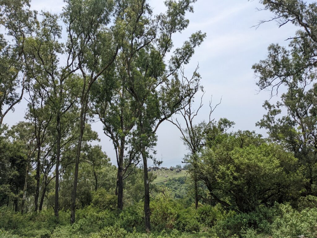 Chamundi Hill view Mysore