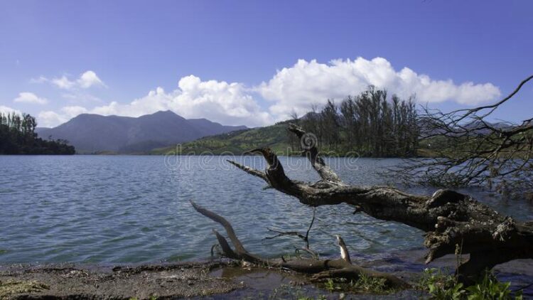 avalanche lake ooty - ooty tourist places