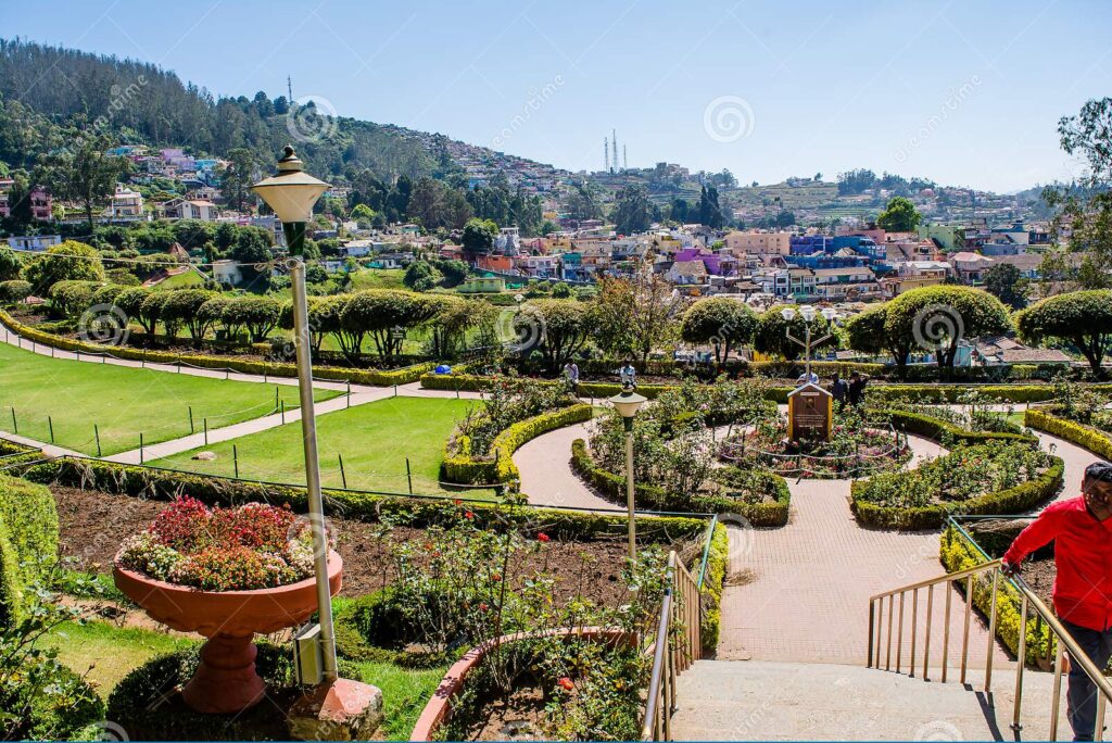 Ooty Rose Garden