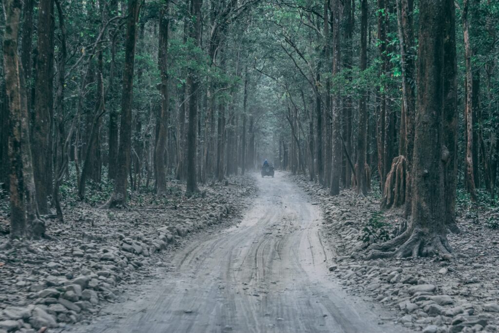 National Parks in India