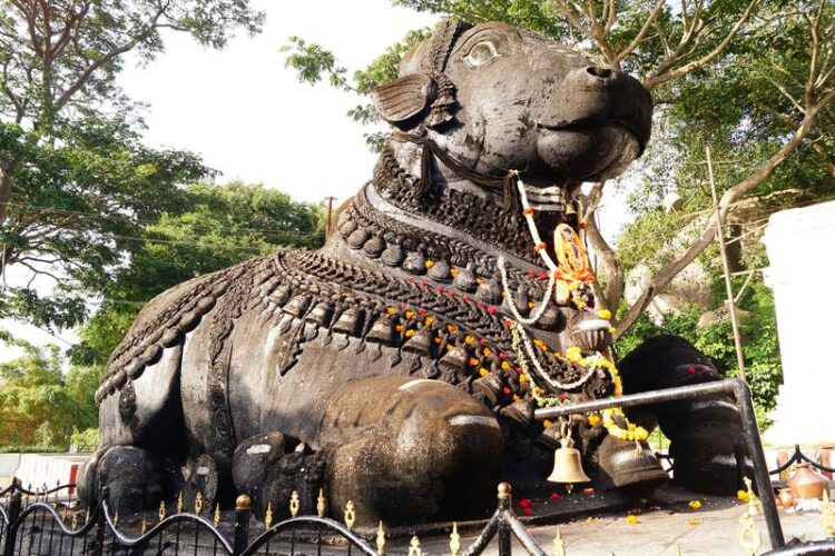 Nandi or Bull Statue ay Mysore chamundeshwari Hills