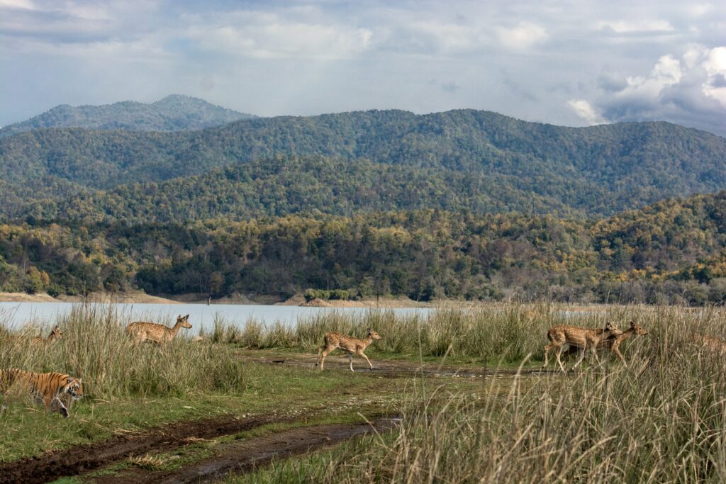 National Parks in India