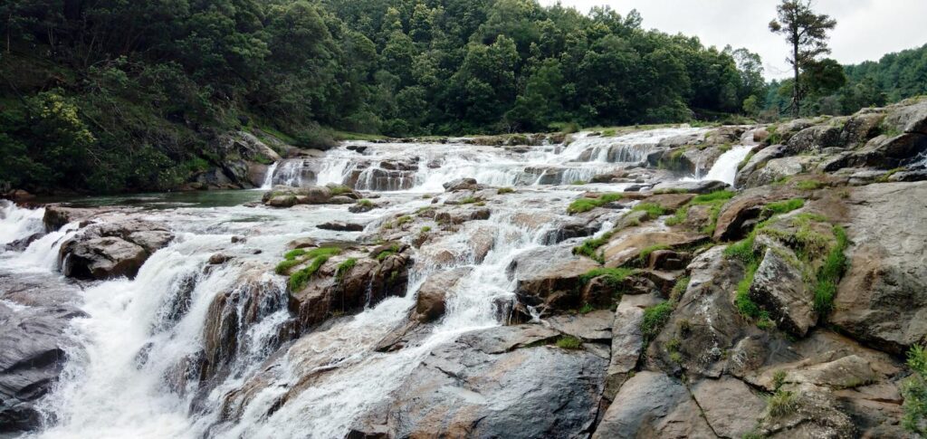 Mukurthi Peak Ooty