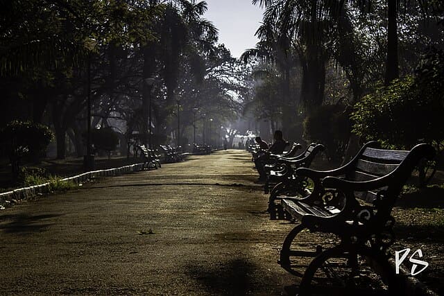 Early Morning Walks in Lalbhag Bangalore