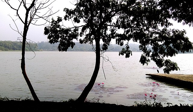 Hebbal Lake - Beautiful Lakes in Bangalore