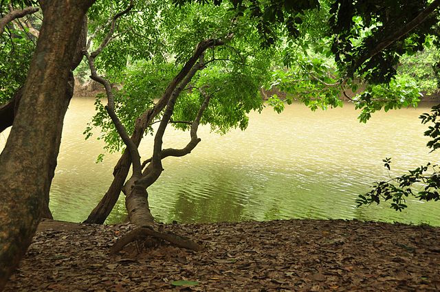 Kabini Water Reservoir Karnataka