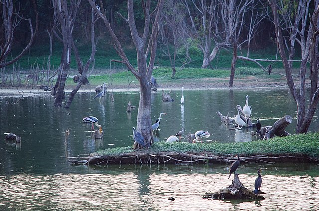 Kaikondrahalli Lake  Bangalore