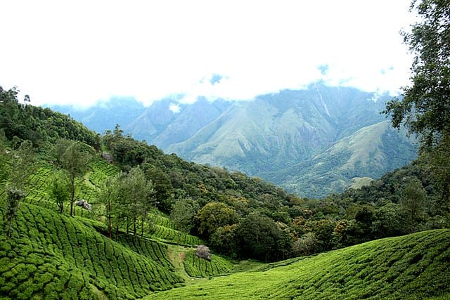 Echo Point Munnar Places to Visit