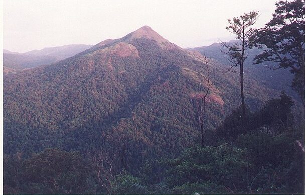 Bisle Ghat View Sakleshpura