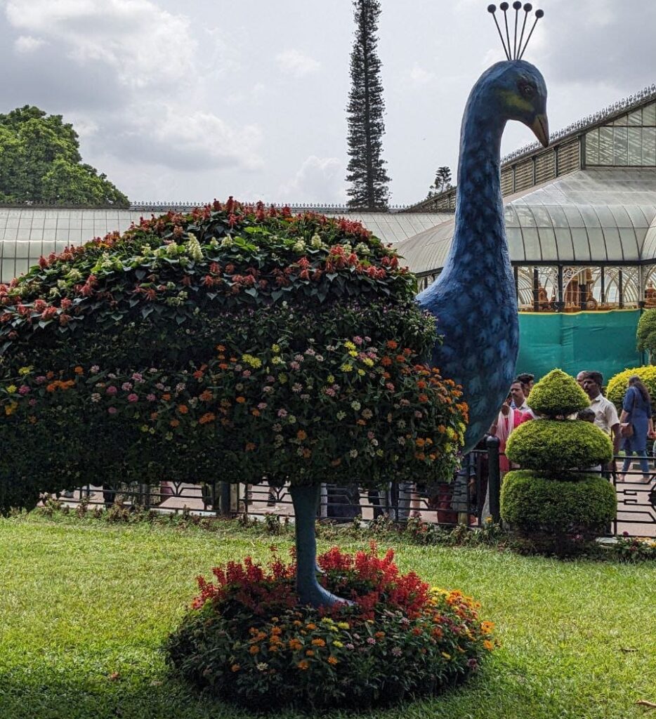 A Peacock made of Flowers at lalbhag Flower SHow