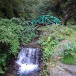 Jibhi Waterfall Scenic View