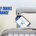 safeway travel insurance​