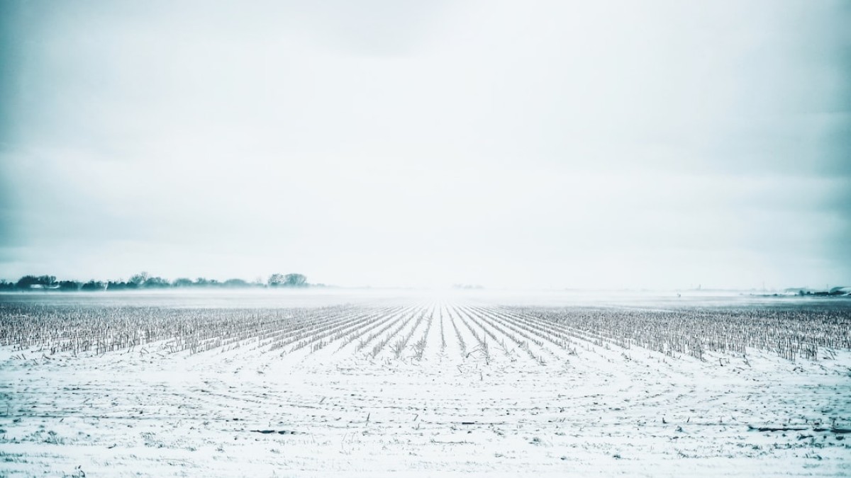 white field during daytime