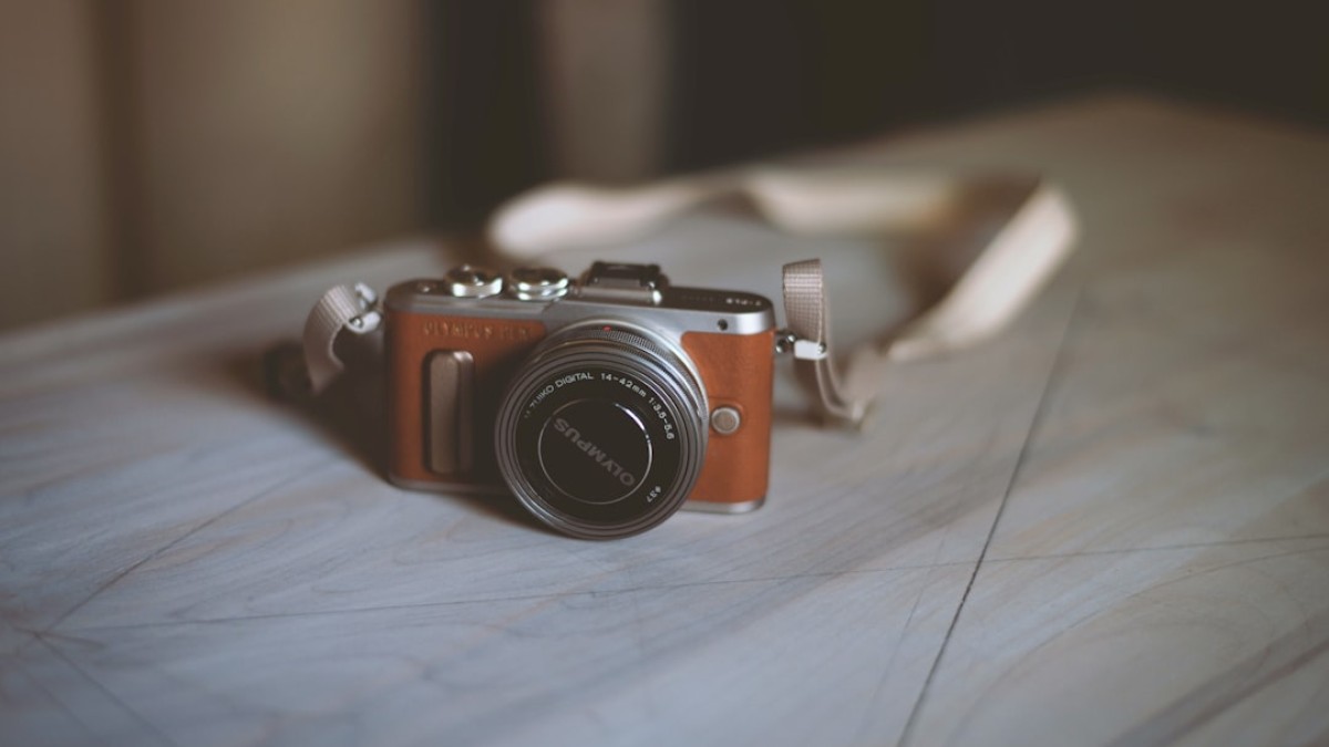 brown and silver camera on brown wooden table