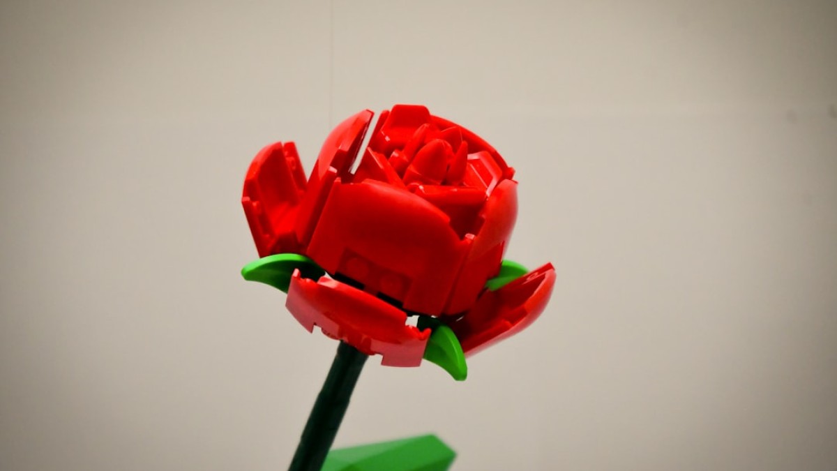 A red flower sitting on top of a green vase