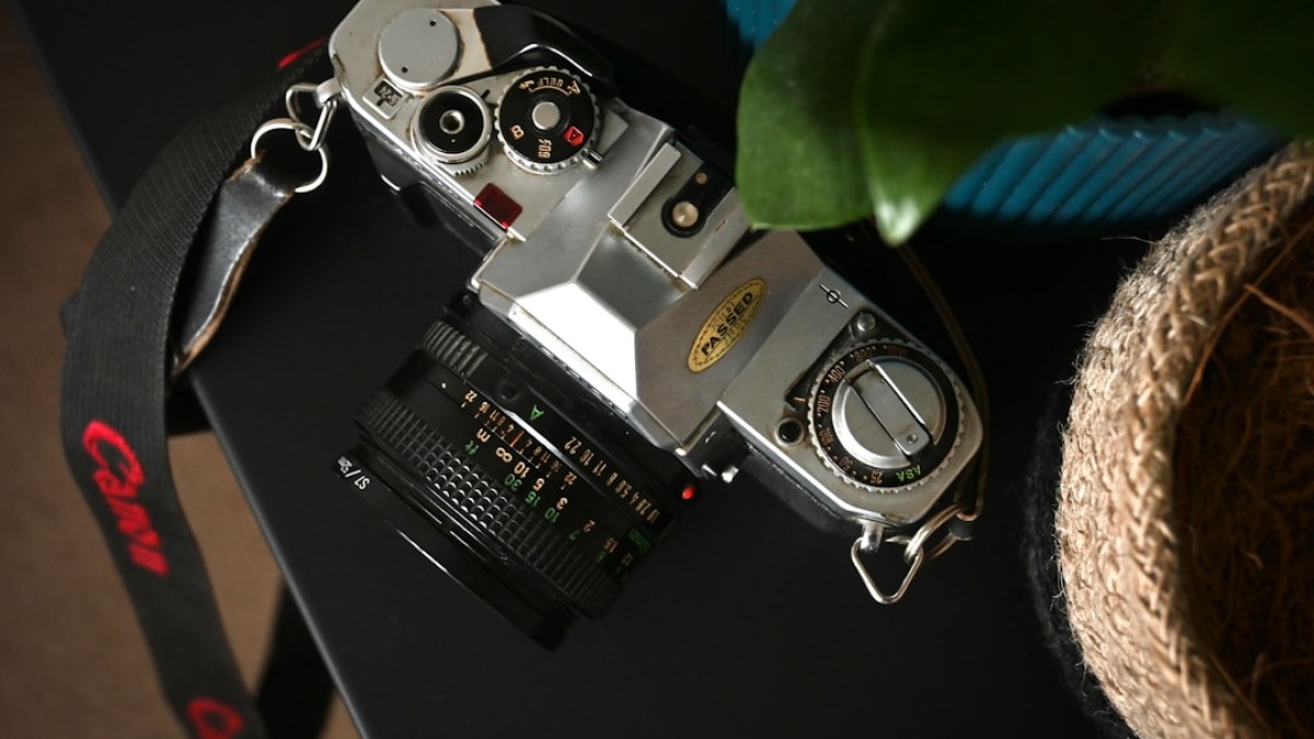 a camera sitting on top of a table next to a plant