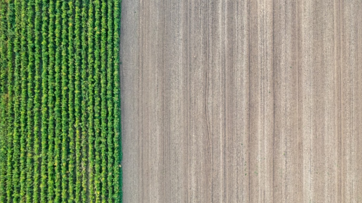 An aerial view of a farm field and a tractor