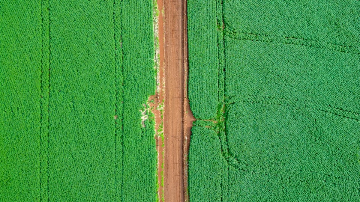 an aerial view of a dirt road in a green field