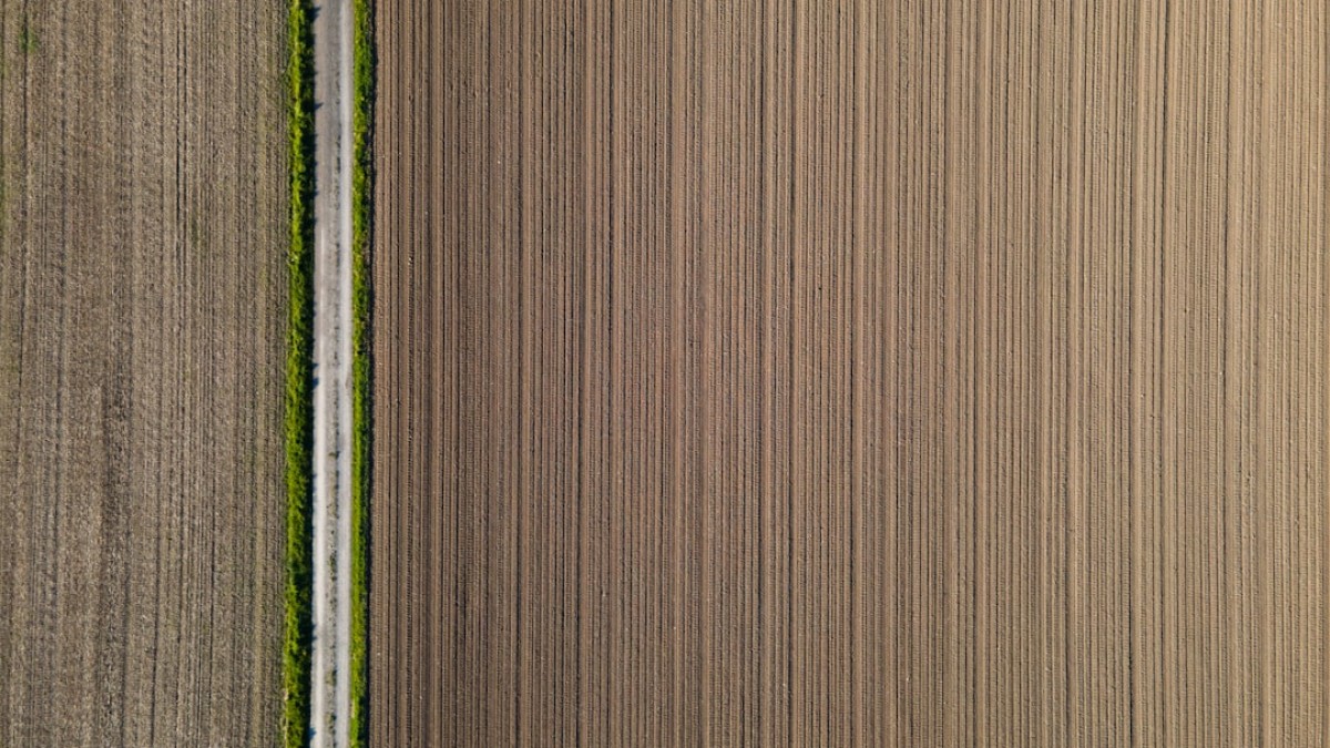 white and black pinstripe textile