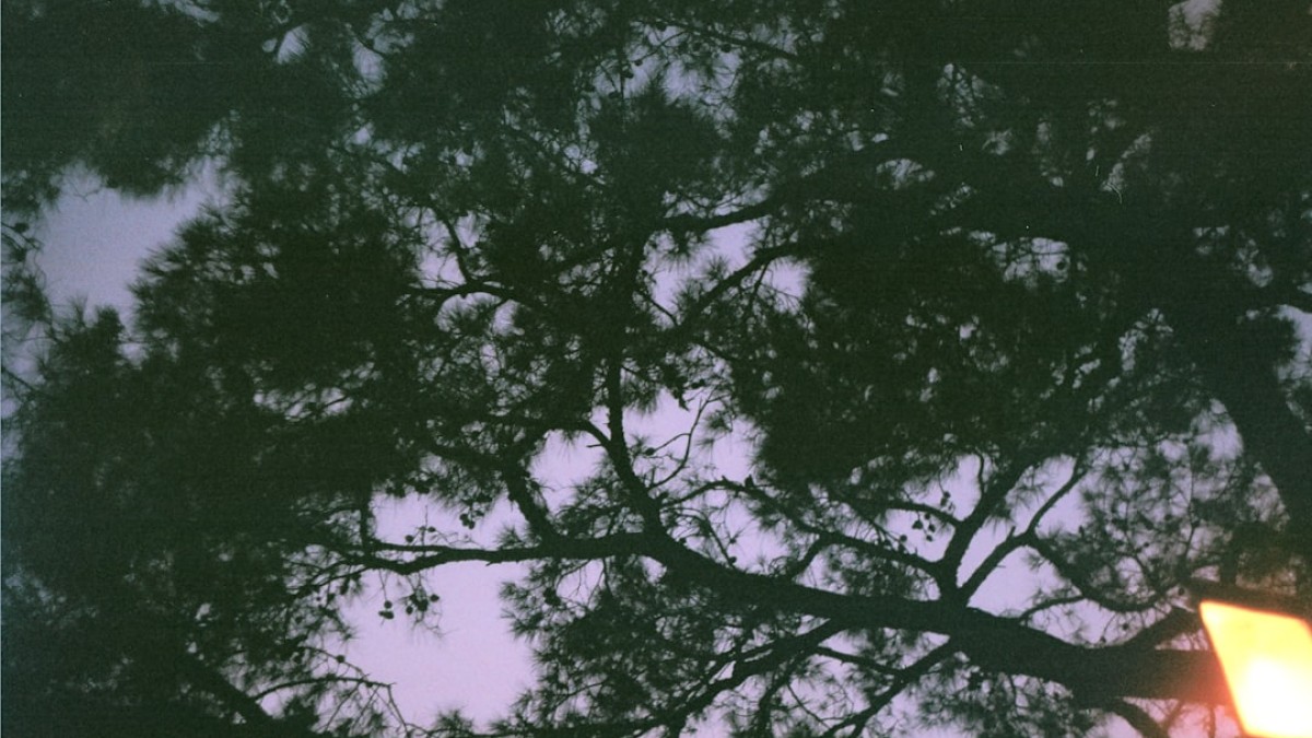 body of water