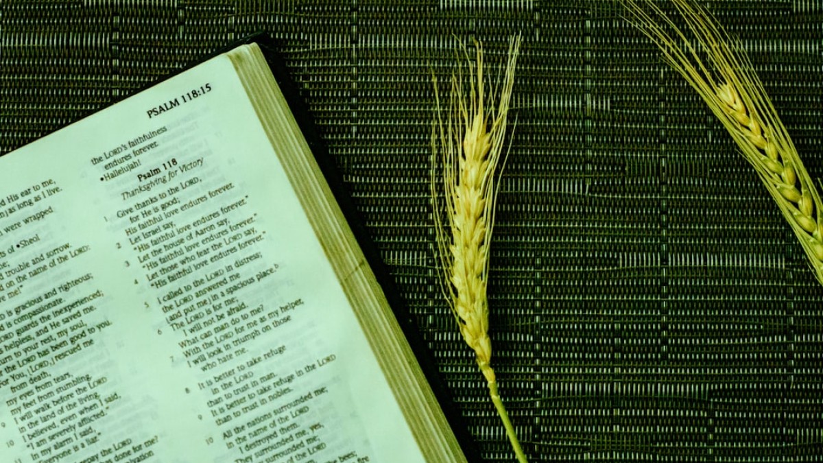 white book page on black textile